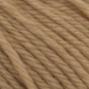 Sunset in Sahara – 308 Camel